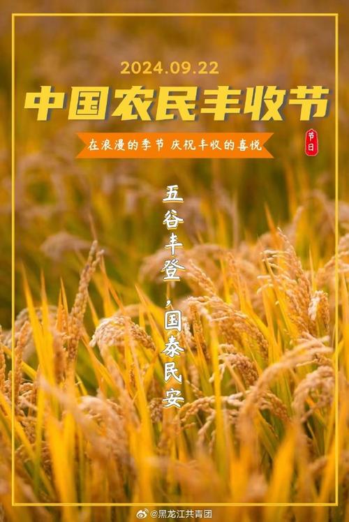 寿光果蔬期货_中国农民丰收节_保险+期货