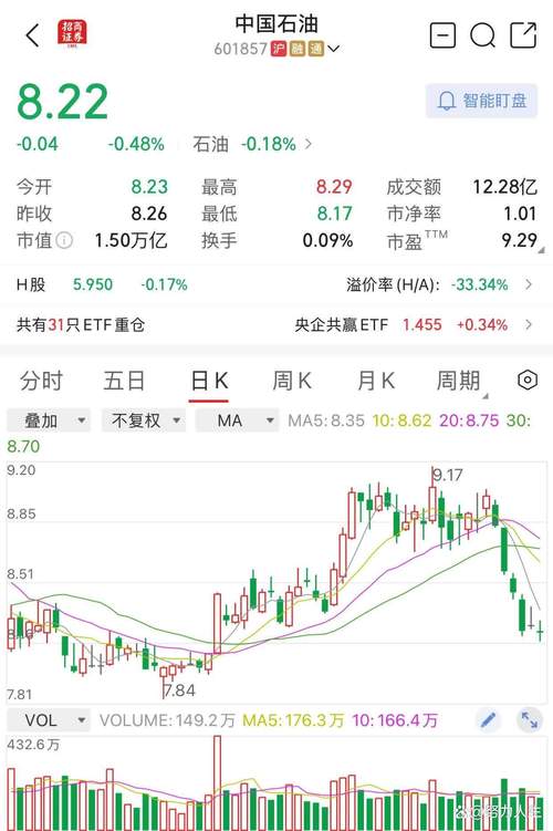 中石油股价走势分析_巴菲特对中石油的看法_中石油股票今天开盘价