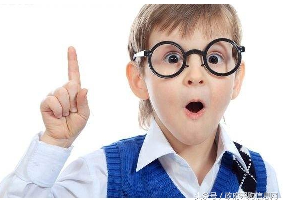 政府采购法解释_政府采购专业名词定义_投标废标的情况有哪些