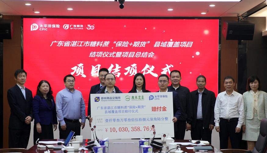 新湖期货 保险+期货 乡村振兴金融支持_金融家期货