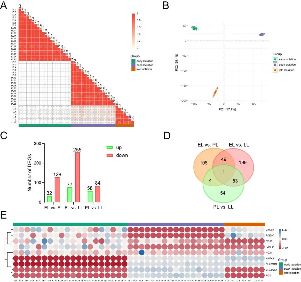 奶牛转录组代谢组分析_标准泌乳曲线奶牛_泌乳曲线关键时期调控机制
