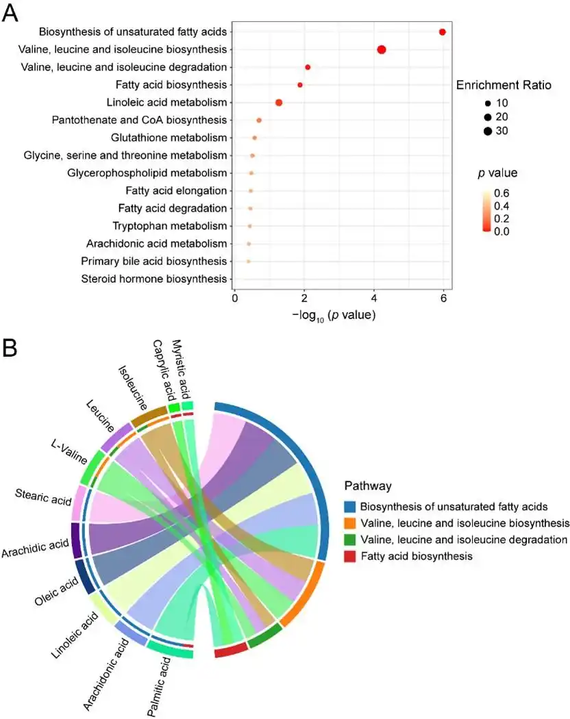 泌乳曲线关键时期调控机制_标准泌乳曲线奶牛_奶牛转录组代谢组分析