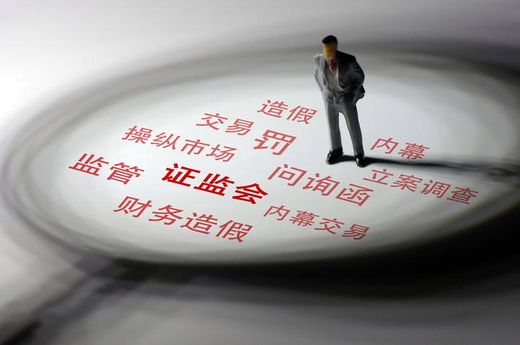 注册制改革下创业板上市公司数量_注册制后买什么股票_新证券法落地监管问题股立案调查数量