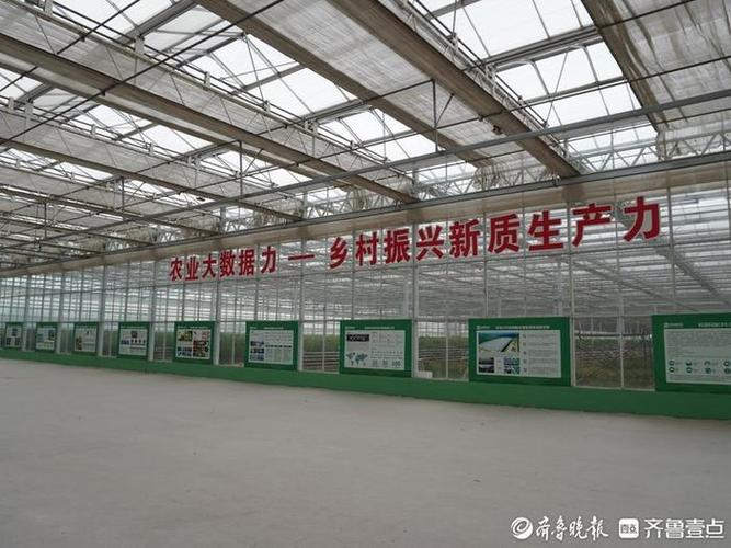 _山东寿光蔬菜免费开户_ 山东智慧农业金融服务 