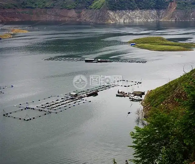 三板溪哪段好钓鱼_贵州大型水库钓鱼攻略_贵州水库钓场