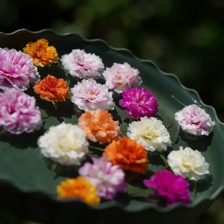 可口可乐 活动_可口可乐草莓味汽水活动_橙柿生活福利打卡