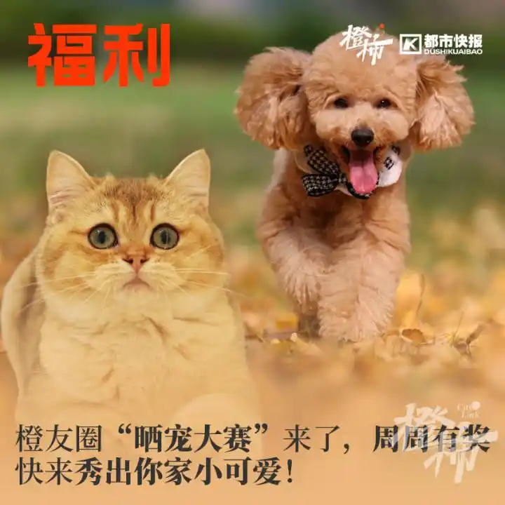 可口可乐草莓味汽水活动_橙柿生活福利打卡_可口可乐 活动