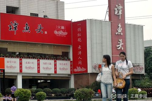 谭鱼头商标拍卖 成都 _ 谭鱼头商标续展风险 _成都谭鱼头投资股份有限公司