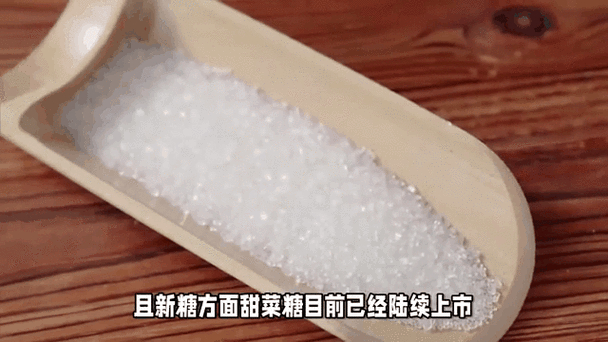 第十一届全球衍生品实盘交易大赛_全国期货实盘交易大赛_期货投资者教育系列丛书 白糖