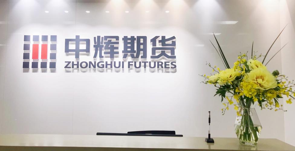 期货投资咨询违规_期货公司负责人处罚_中辉期货公司注册地址