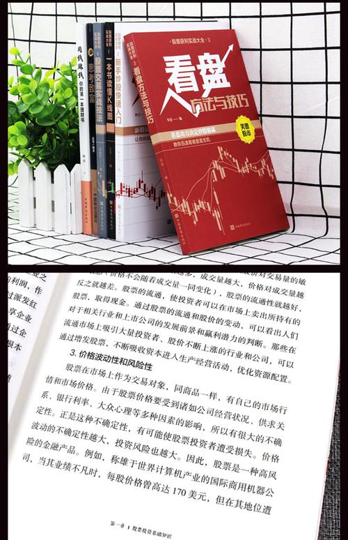 新股民股市操练大全_股票投资基础理论及实战技巧_从零始学炒股 新手入门指南