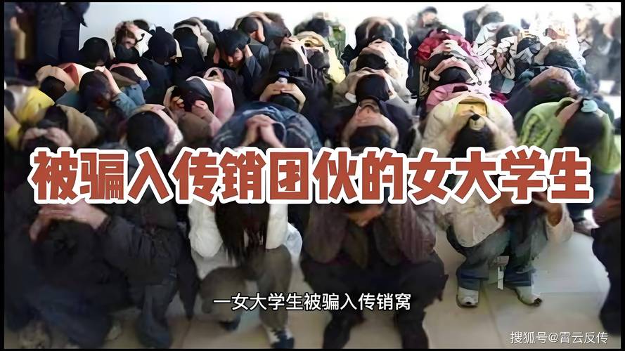 mfc理财平台_MFC网络理财平台传销案_组织领导传销活动罪