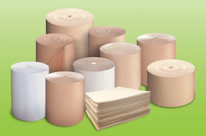 玖龙纸业+张茵_造纸女王张茵 玖龙纸业 调价运营成本上涨