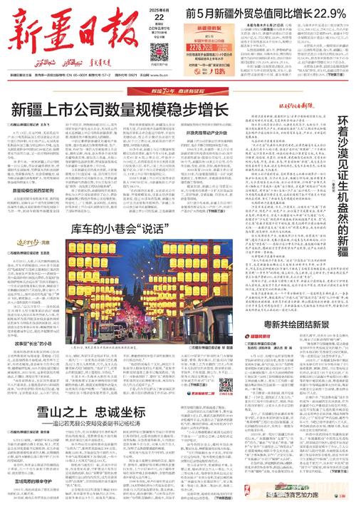 上市公司数量去哪里看_新疆上市公司发展历程_新疆资源优势转化经济优势